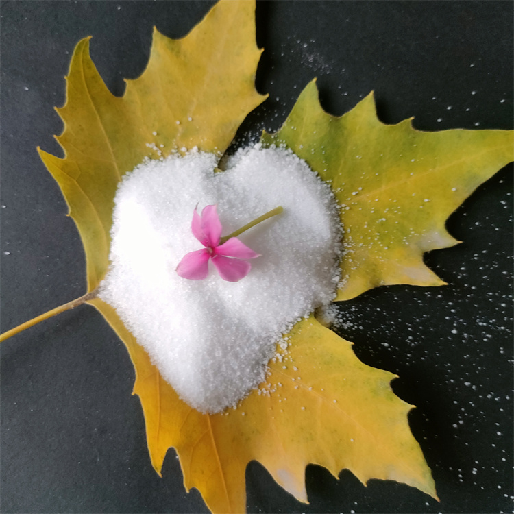 �۱�ϩ����